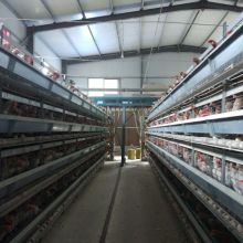 藁城區兵海籠具加工廠 供應產品